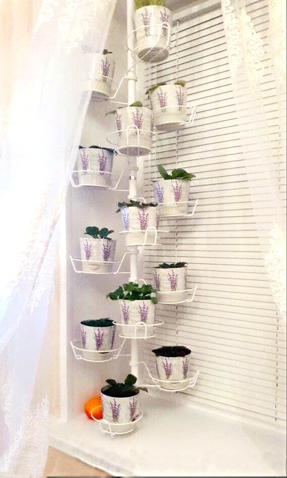 распорка металлическая для растений на окно. Фото N5