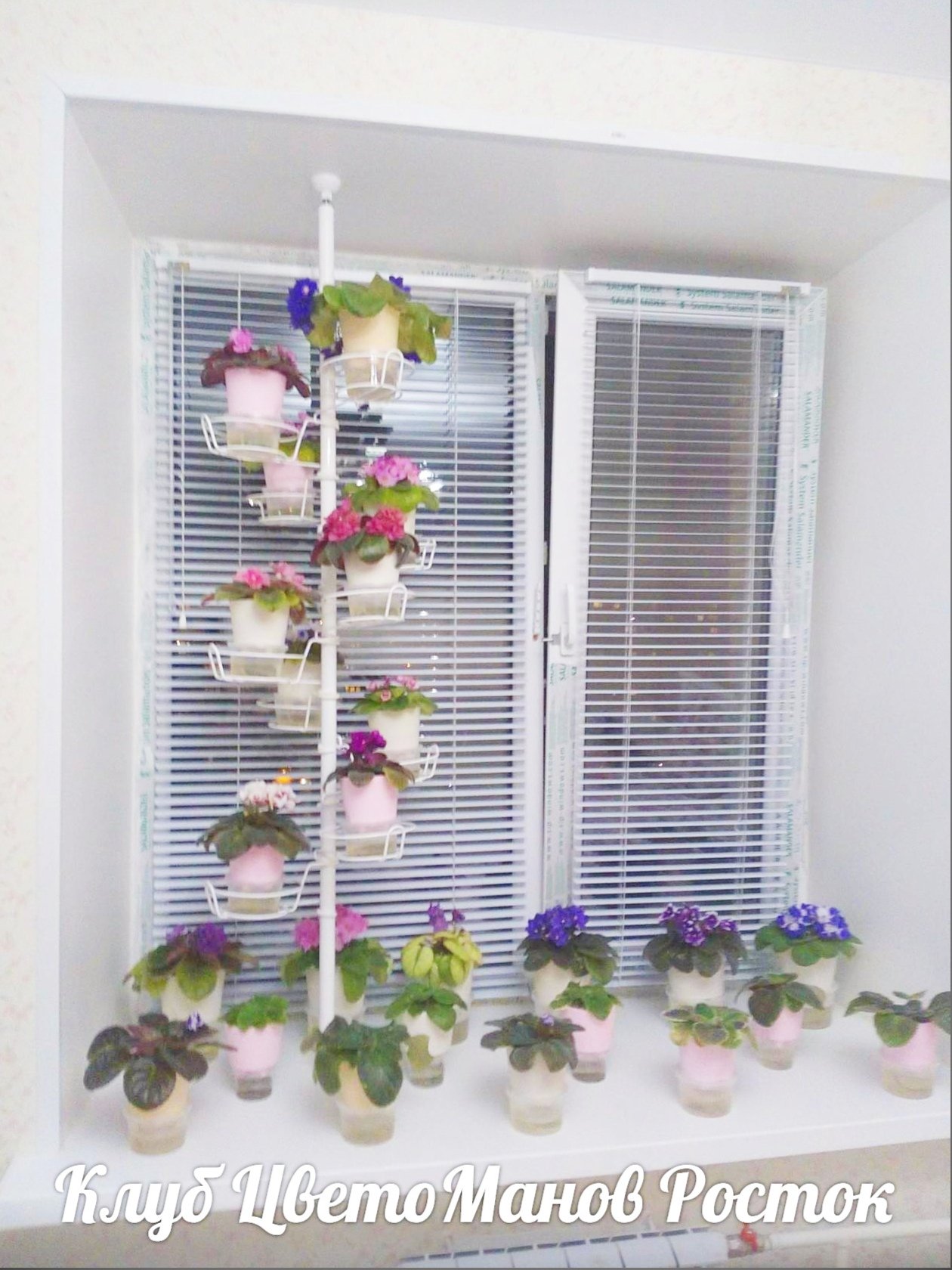 подставка для растений на окно вместительная