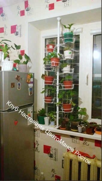 подставка для растений на окно вместительная. Фото N7